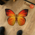 Orange Butterfly Shaped Rugs Custom For Room Decor Mat Quality Carpet-Animerugs