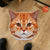 Cat Funny Face Shaped Rugs Custom For Room Decor Mat Quality Carpet-Animerugs