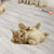 Funny Kitten Shaped Rugs Custom For Room Decor Mat Quality Carpet-Animerugs