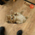 Funny Kitten Shaped Rugs Custom For Room Decor Mat Quality Carpet-Animerugs