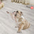 French Bulldog Shaped Rugs Custom For Room Decor Mat Quality Carpet-Animerugs
