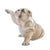 French Bulldog Shaped Rugs Custom For Room Decor Mat Quality Carpet-Animerugs
