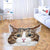 Funny Cat Faces Shaped Rugs Custom For Room Decor Mat Quality Carpet-Animerugs