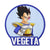 Vegeta Shaped Rug Custom Anime Dragon Ball Mats For Bedroom Living Room Quality Carpets-Animerugs
